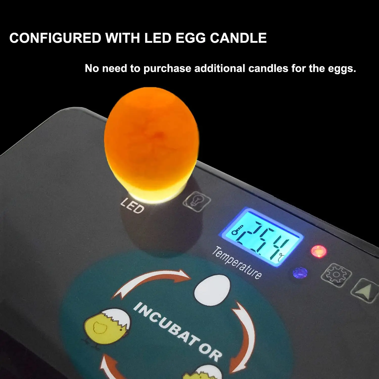 Automatic HHD Best Digital 12  - Quail Egg Incubator recensie en prijs