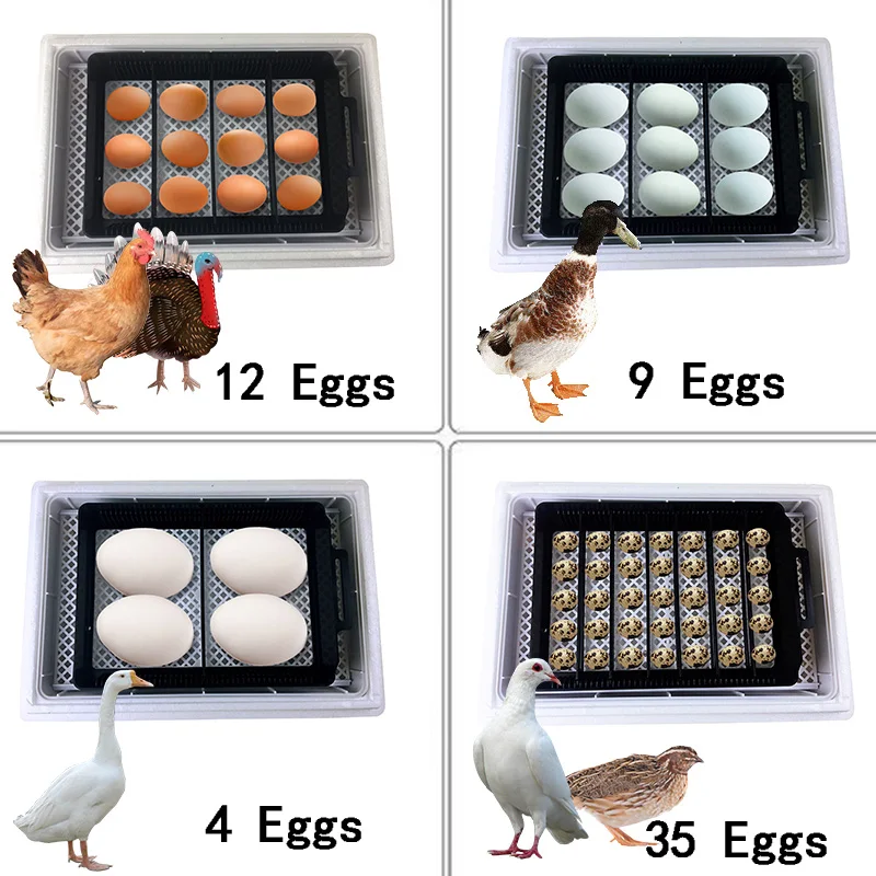 Automatic HHD Best Digital 12  - Quail Egg Incubator recensie en prijs