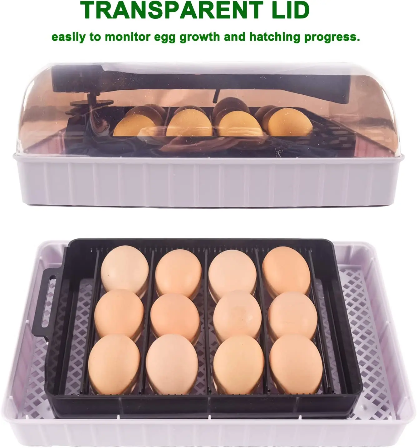 Automatic HHD Best Digital 12  - Quail Egg Incubator recensie en prijs
