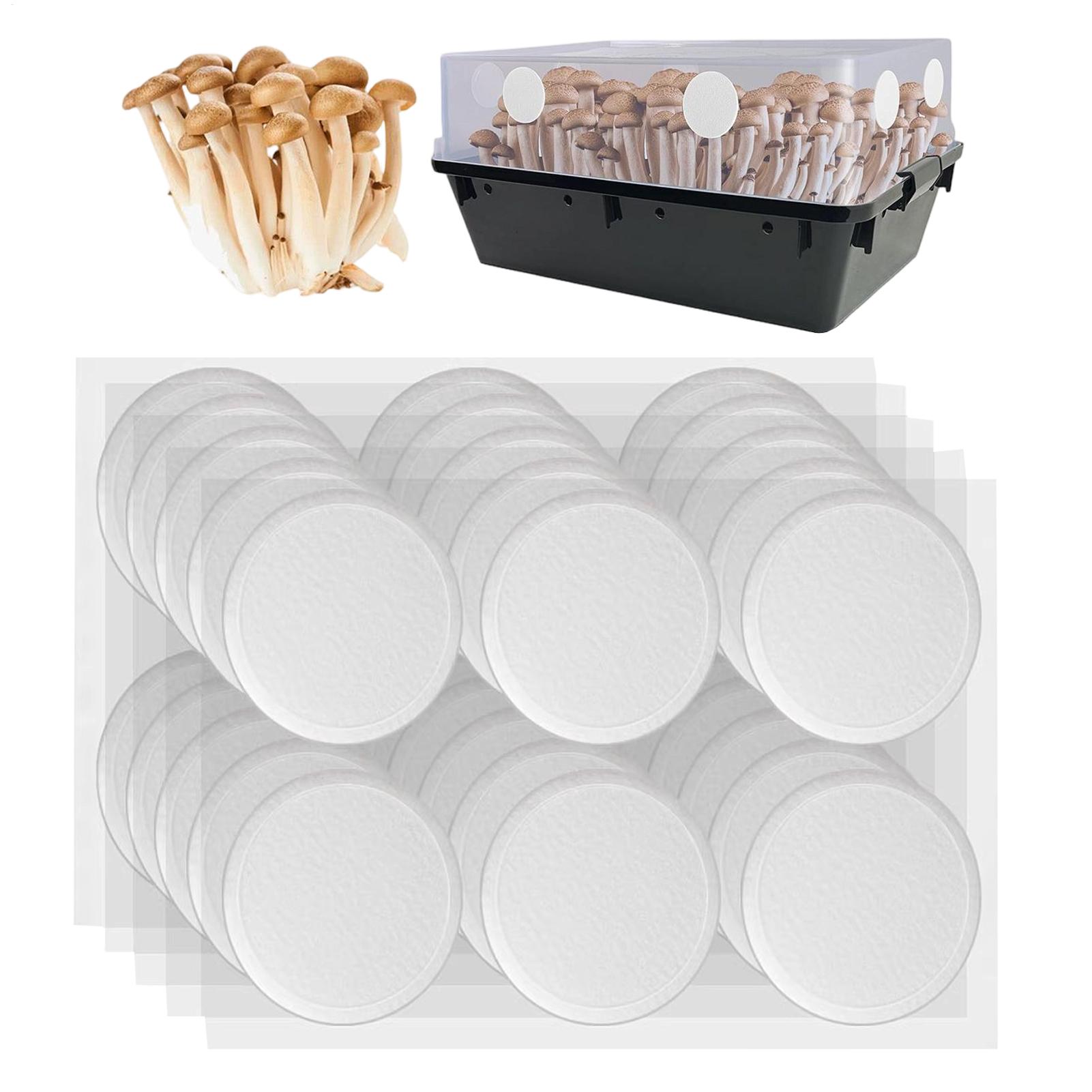 30Pcs Adhesive Filter Disks Br - Mushroom Spawn Bag recensie en prijs