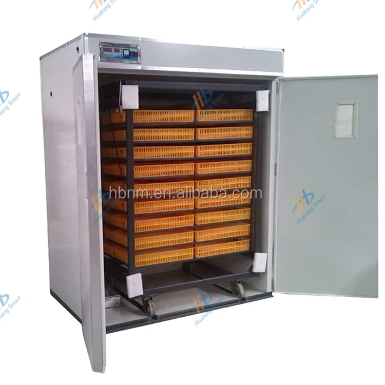Large-Capacity Fully Automatic - Quail Egg Incubator recensie en prijs