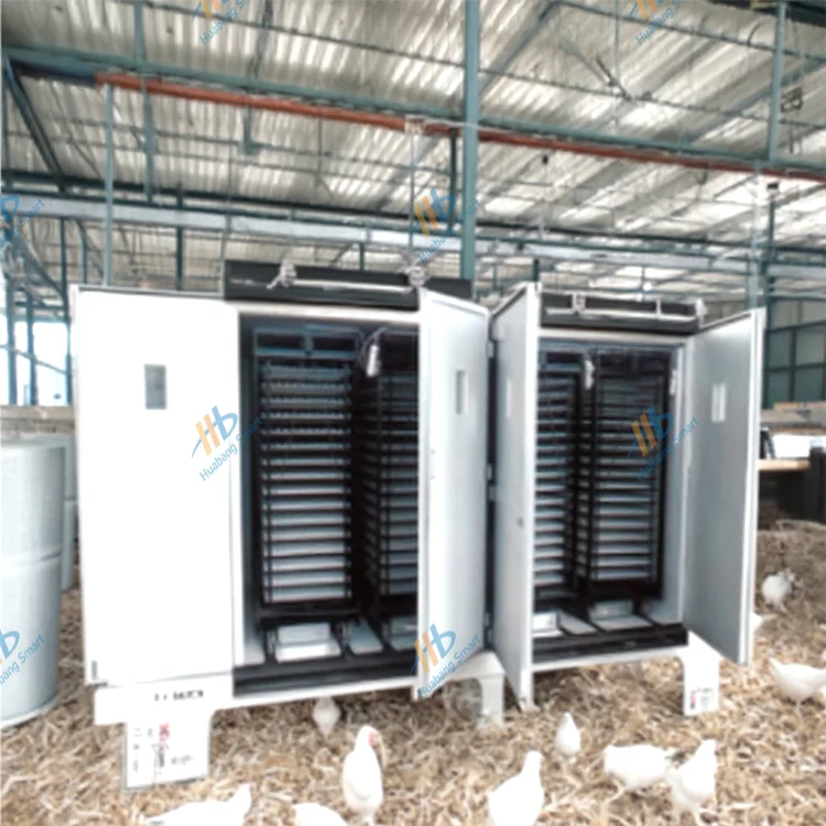 Large-Capacity Fully Automatic - Quail Egg Incubator recensie en prijs