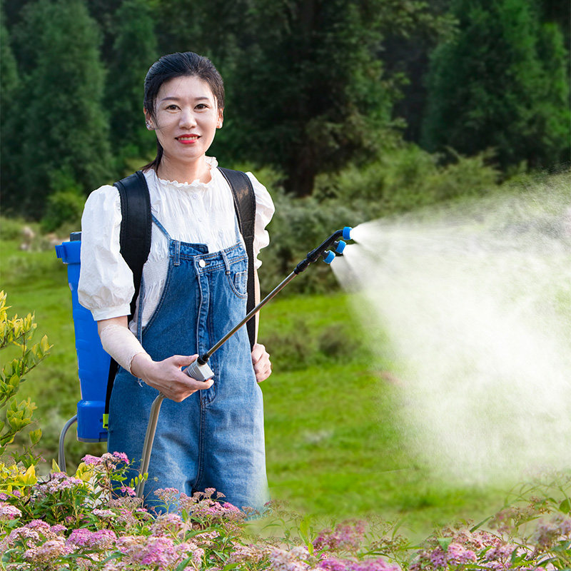 Disinfection Sprayer with Back - Crop Sprayer Backpack recensie en prijs