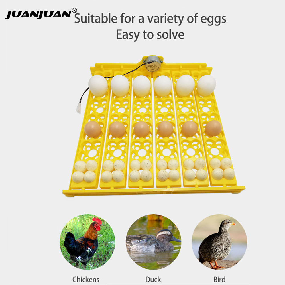 24 Eggs Tray Incubator Turner  - Quail Egg Incubator recensie en prijs