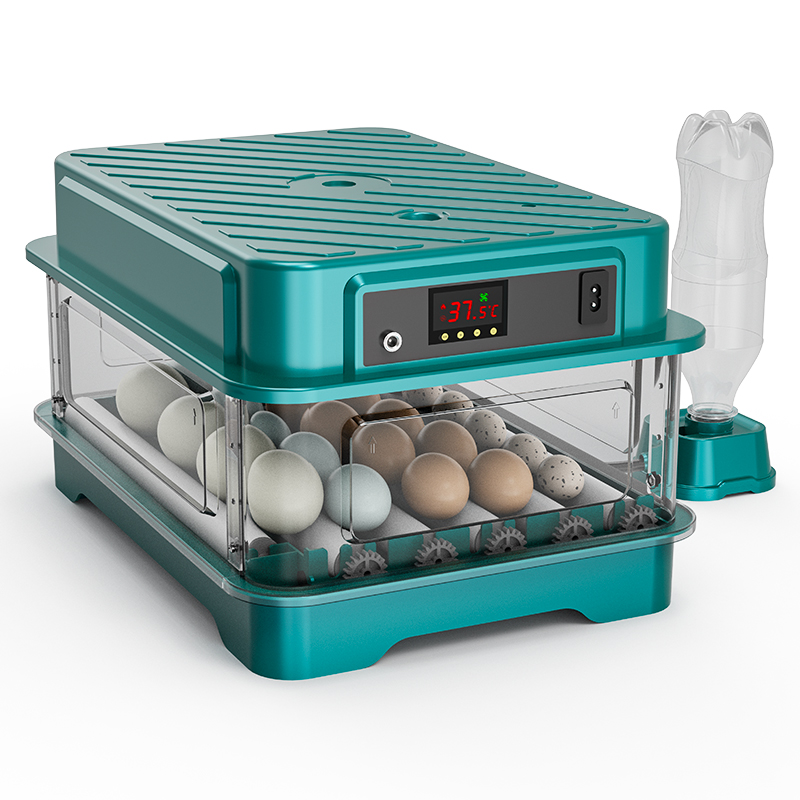 Fully Automatic  Chicken Quail - Quail Egg Incubator recensie en prijs