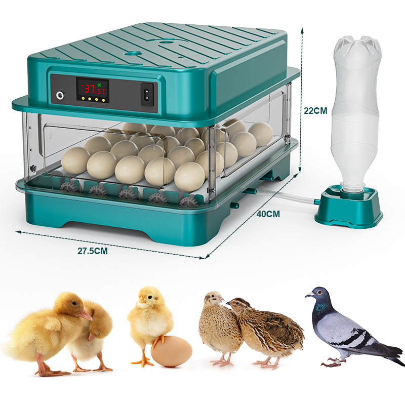 Fully Automatic  Chicken Quail - Quail Egg Incubator recensie en prijs