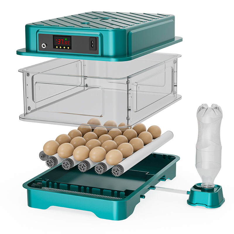 Fully Automatic  Chicken Quail - Quail Egg Incubator recensie en prijs
