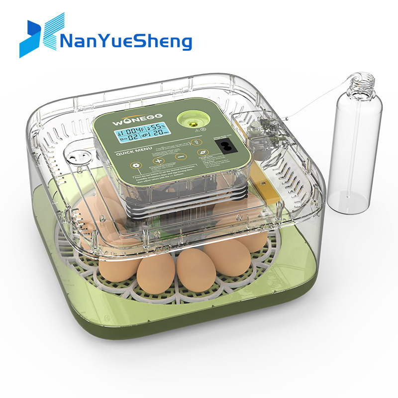 New 12 Chick egg Hatchery mach - Quail Egg Incubator recensie en prijs