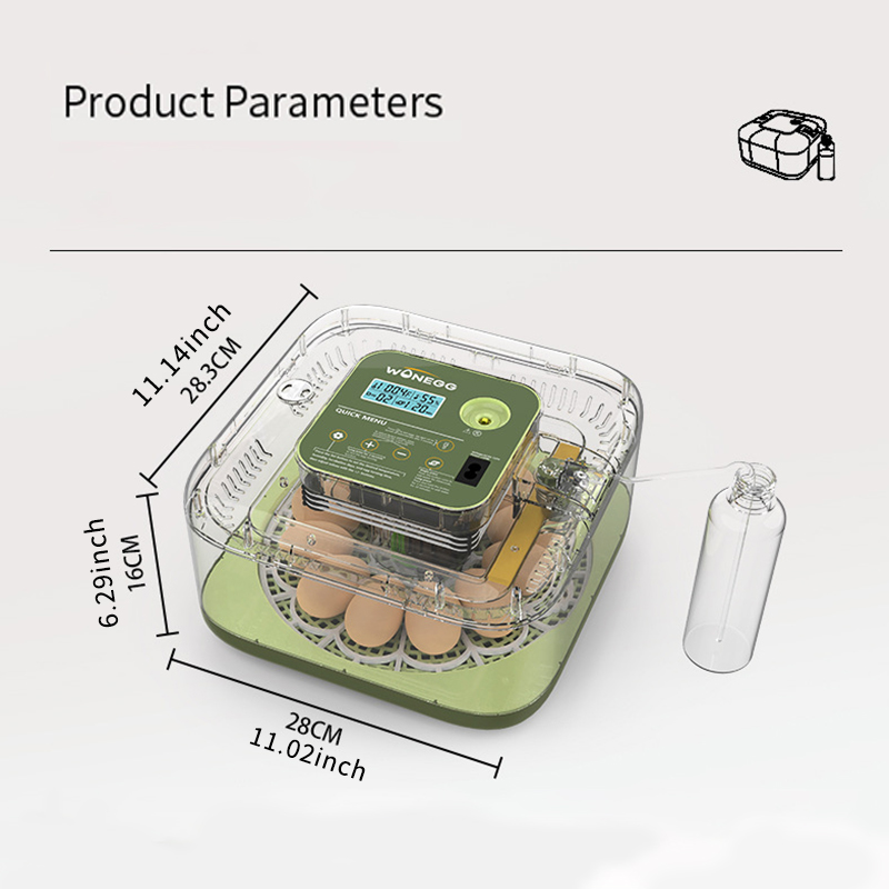 New 12 Chick egg Hatchery mach - Quail Egg Incubator recensie en prijs