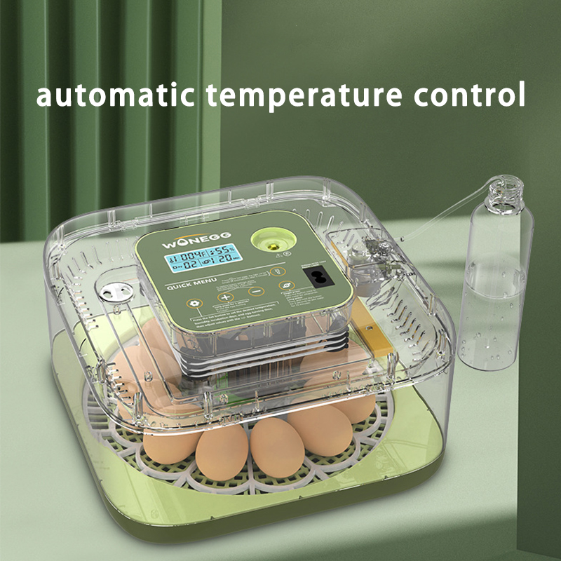 New 12 Chick egg Hatchery mach - Quail Egg Incubator recensie en prijs