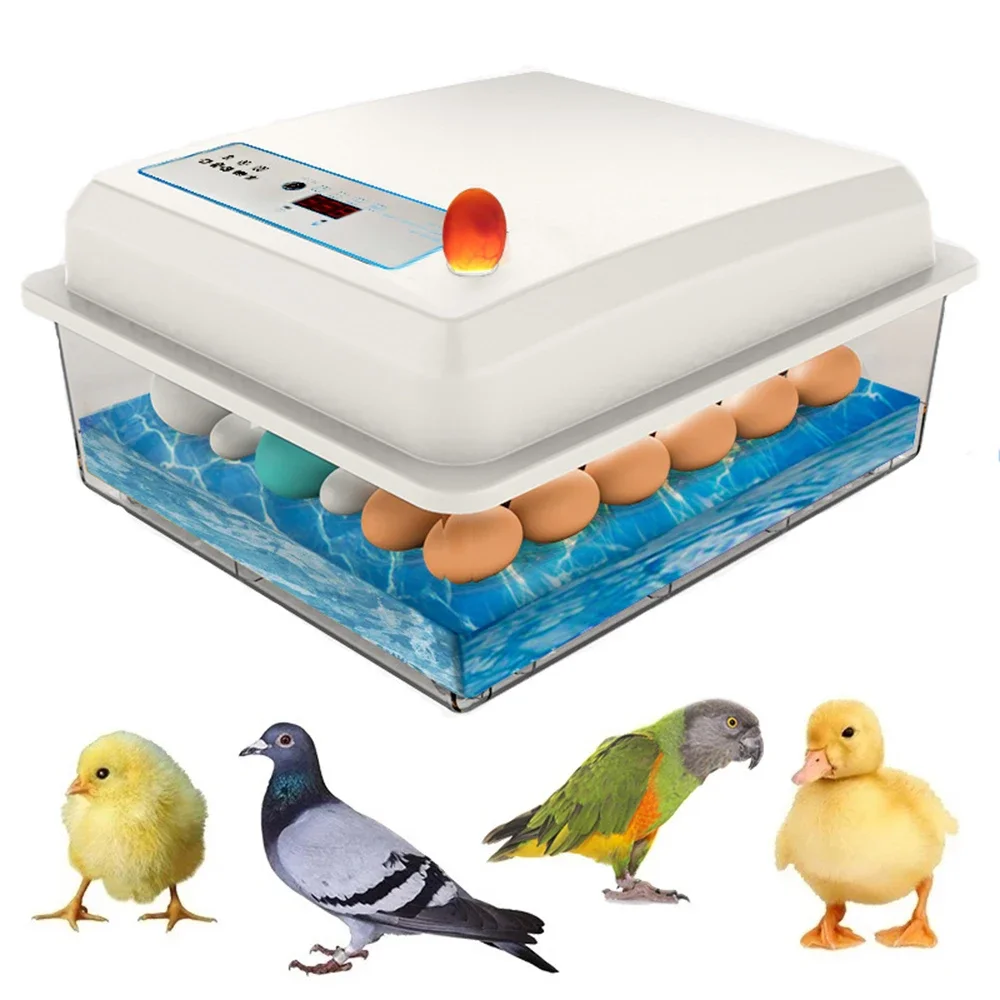 20 Eggs Incubator Set Fully Au - Quail Egg Incubator recensie en prijs
