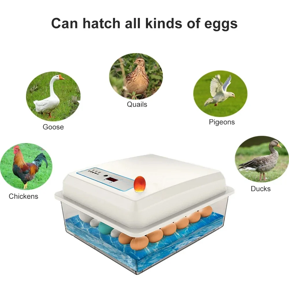20 Eggs Incubator Set Fully Au - Quail Egg Incubator recensie en prijs