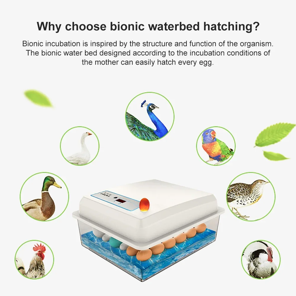 20 Eggs Incubator Set Fully Au - Quail Egg Incubator recensie en prijs