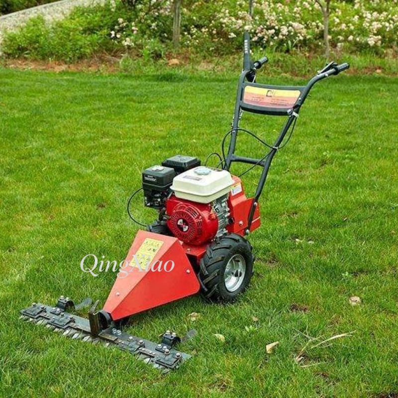 6.5Hp Four Stroke Wheeled Gras - Farming Jobs recensie en prijs